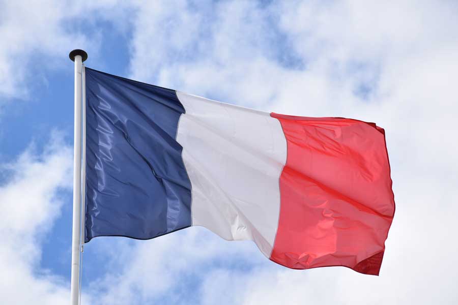 French Language Tuition